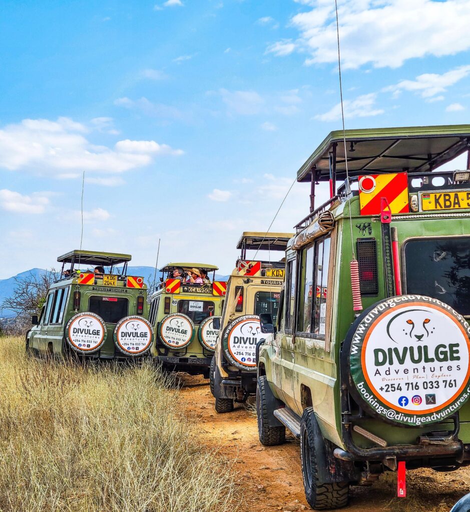 divulge adventures safari