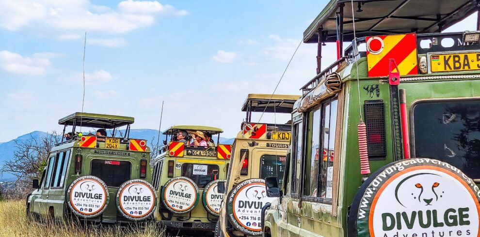 divulge adventures safari