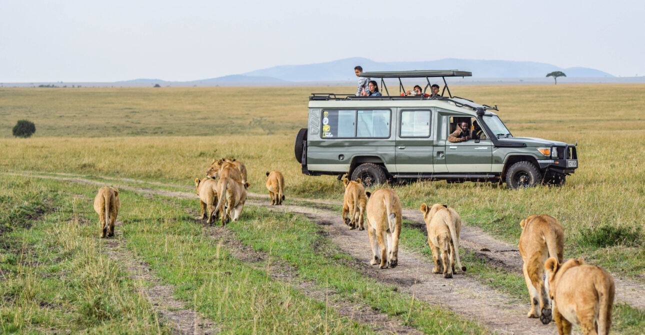 Masai Mara Safari Cost
