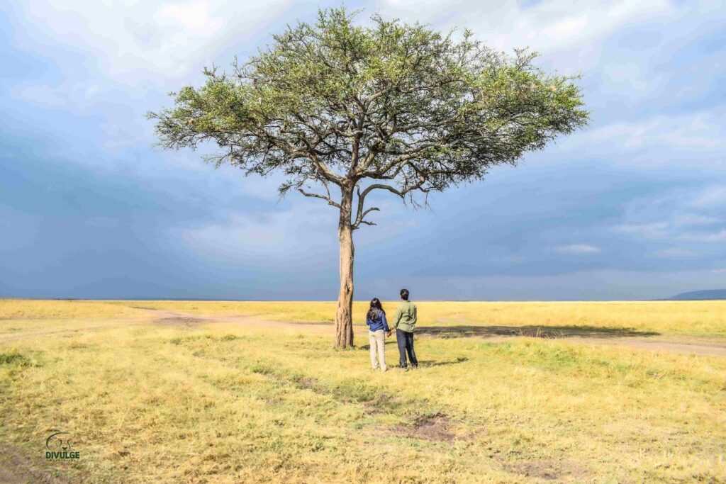 masai mara safari divulge adventures
