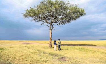 masai mara safari divulge adventures