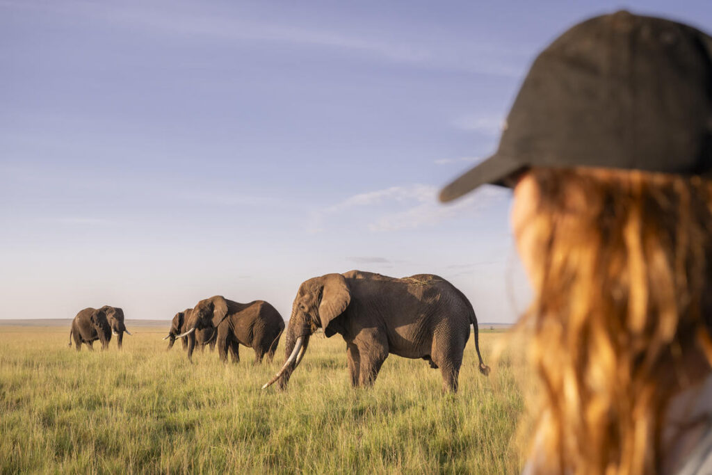 divulge adventures guests on safari