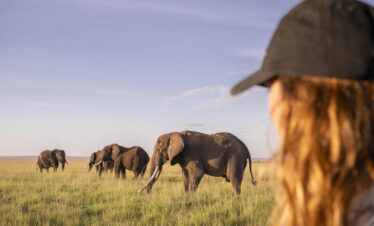 Tanzania Safari and Zanzibar Beach Holiday