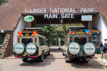 Nairobi National Park Safari