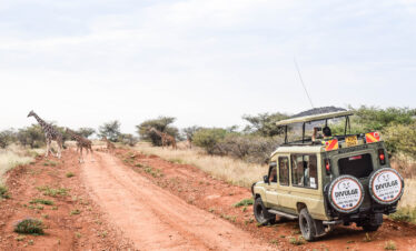 Divulge Adventures Ol Pejeta Meru and Samburu safari