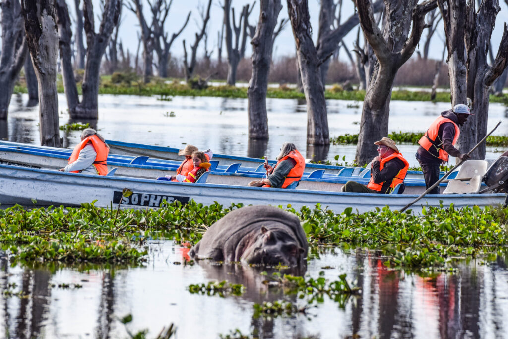divulge adventures lake naivasha