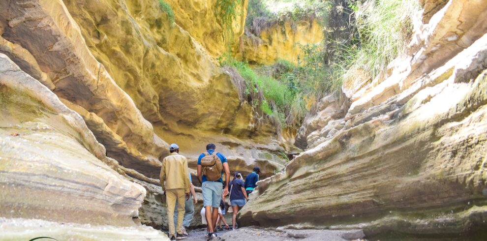 divulge_adventures hells gate national park, wildebeest migration safari