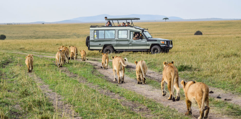 What to Pack for Tanzania Safari Checklist