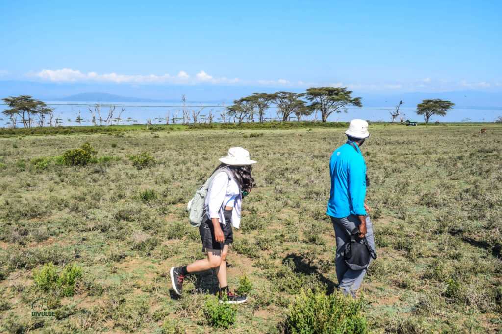 divulge adventures crescent island, wildebeest migration safari