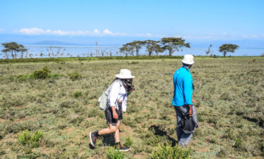 divulge adventures crescent island, wildebeest migration safari