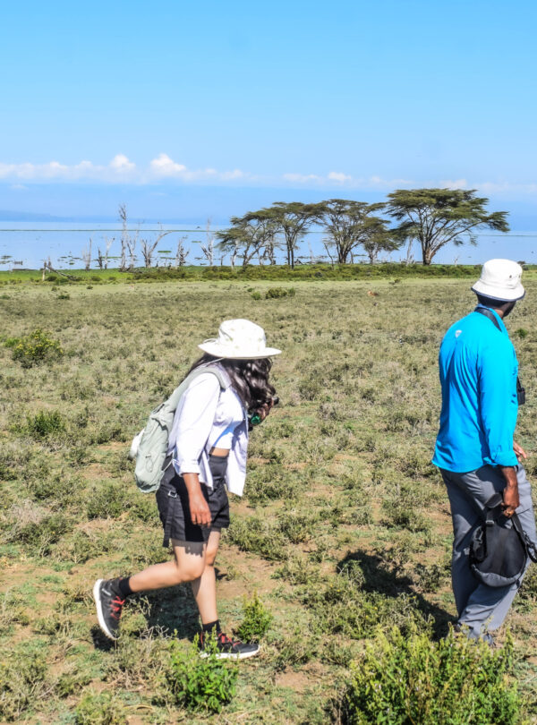 divulge adventures crescent island, wildebeest migration safari