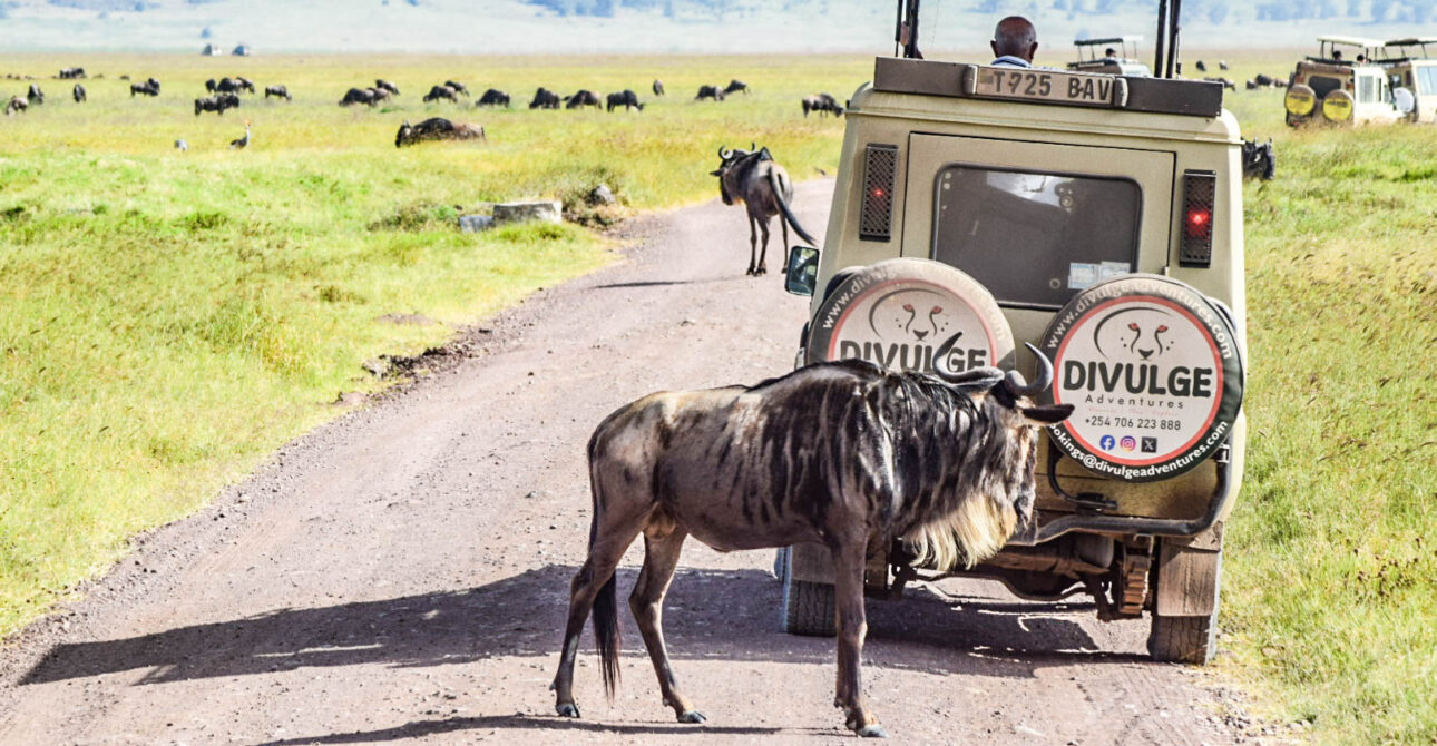 How to Plan a Kenya Safari Itinerary for One Week, With Four Routes Compared