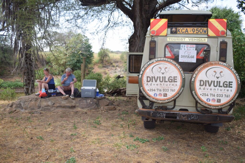 ELSA the Lioness, Meru National Park
