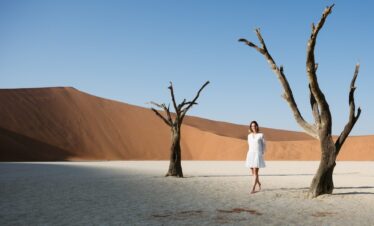 Magical Namibia Safari