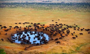 Tsavo-West-National-Park