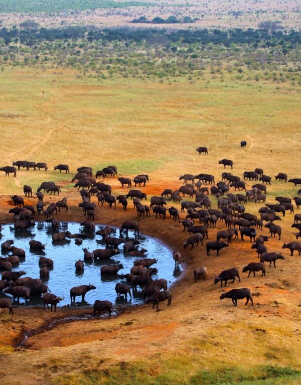 Tsavo-West-National-Park