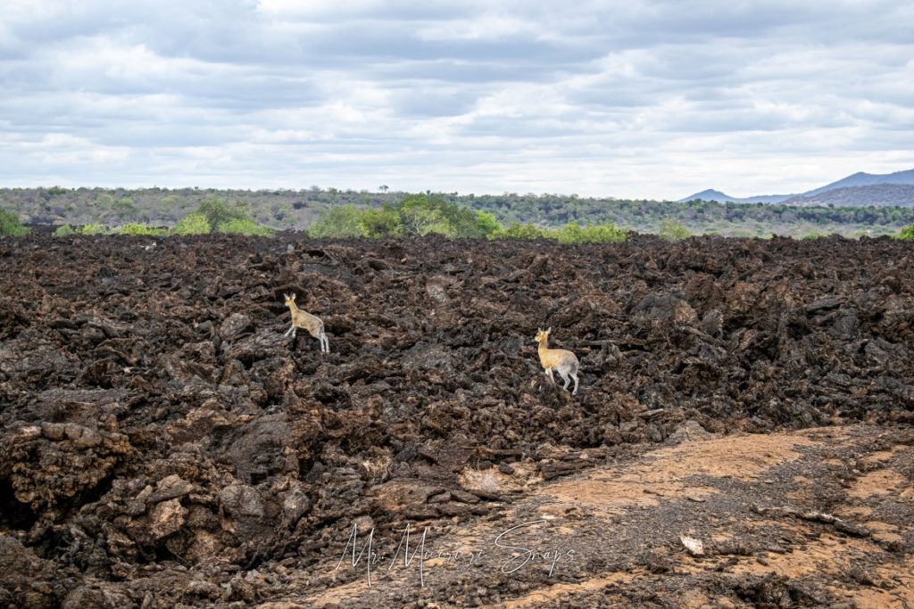Tsavo-West-National-Park-Shetani-Lava-Flow