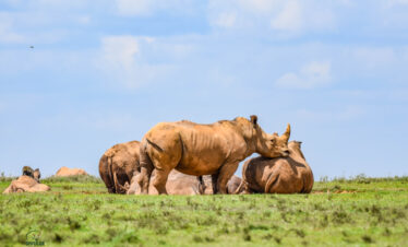 Ruaha National Park