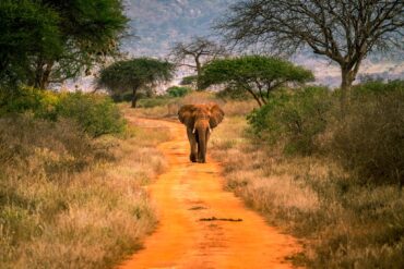 tsavo-west-national-park
