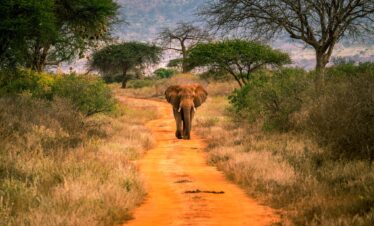 tsavo-west-national-park