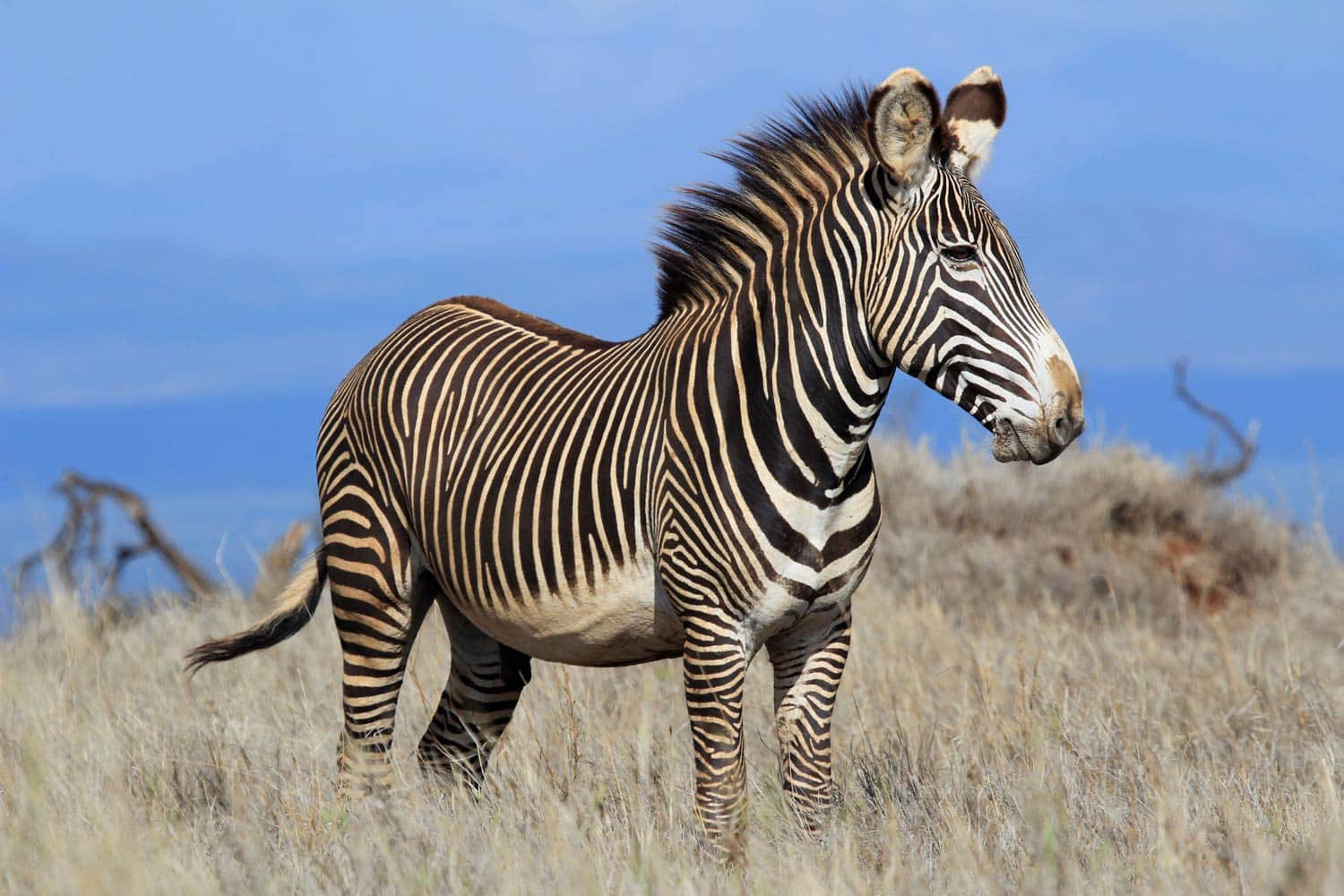 Lake Manyara National Park