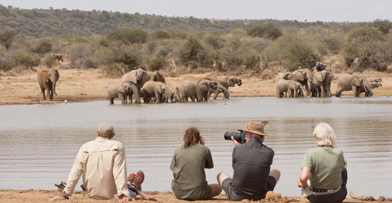 Discovering Laikipia Wilderness: The Untamed Heart of Kenya