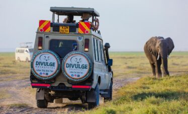 divulge adventures special five and big five