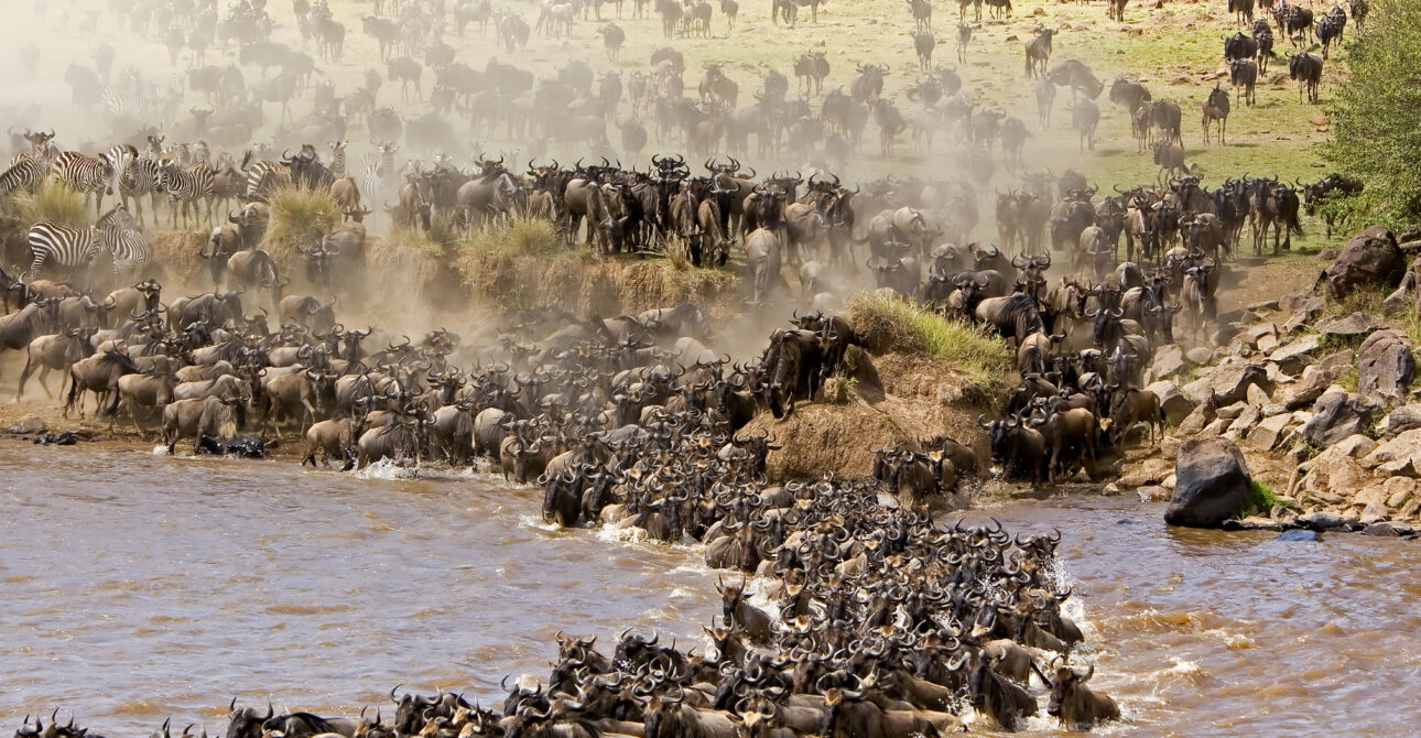 Serengeti National Park