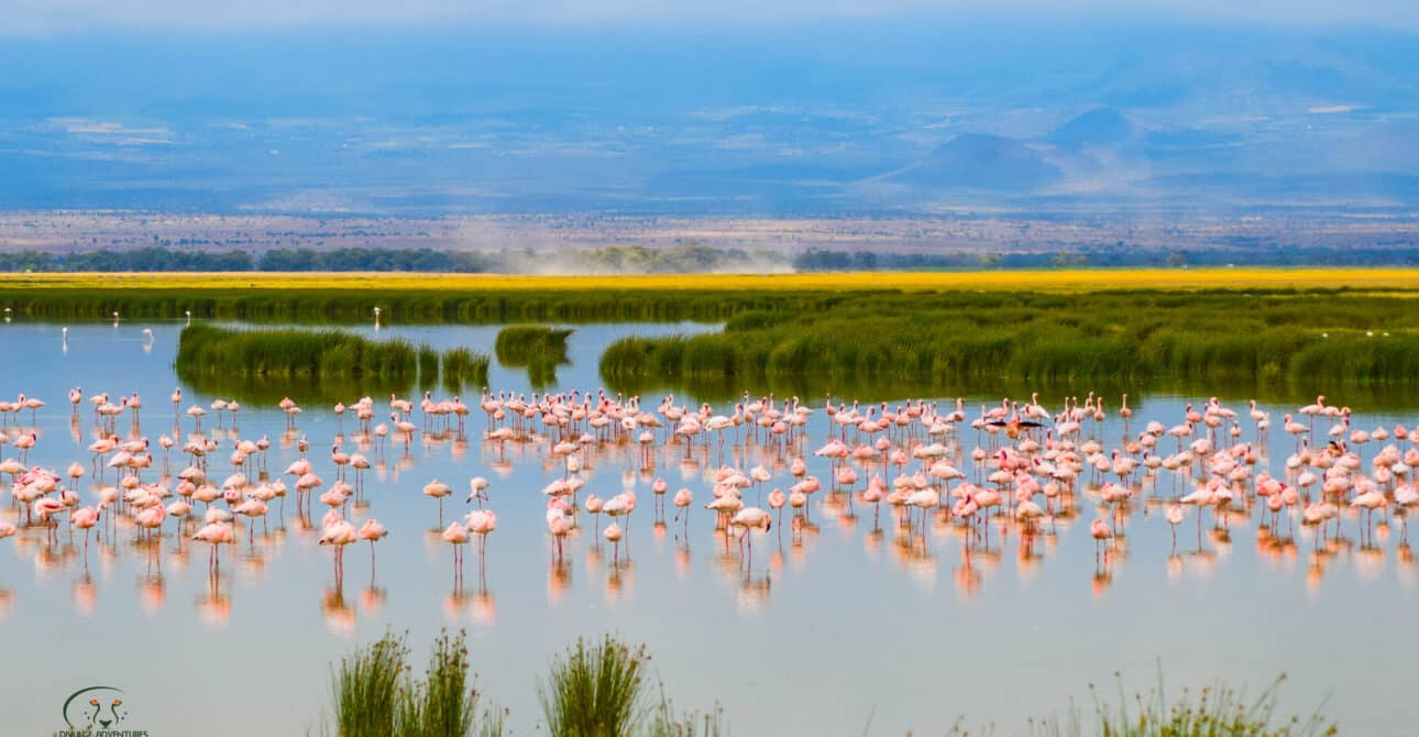 Lake Nakuru National Park Attractions