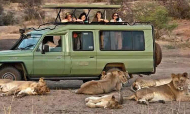 queen elizabeth national park safari