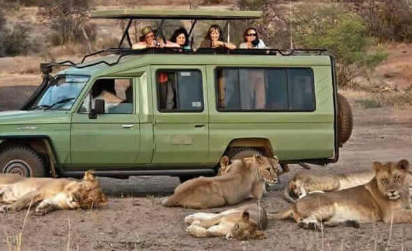 queen elizabeth national park safari