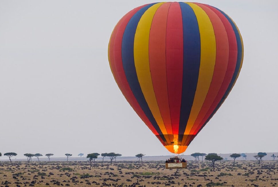 Hot air balloon safari