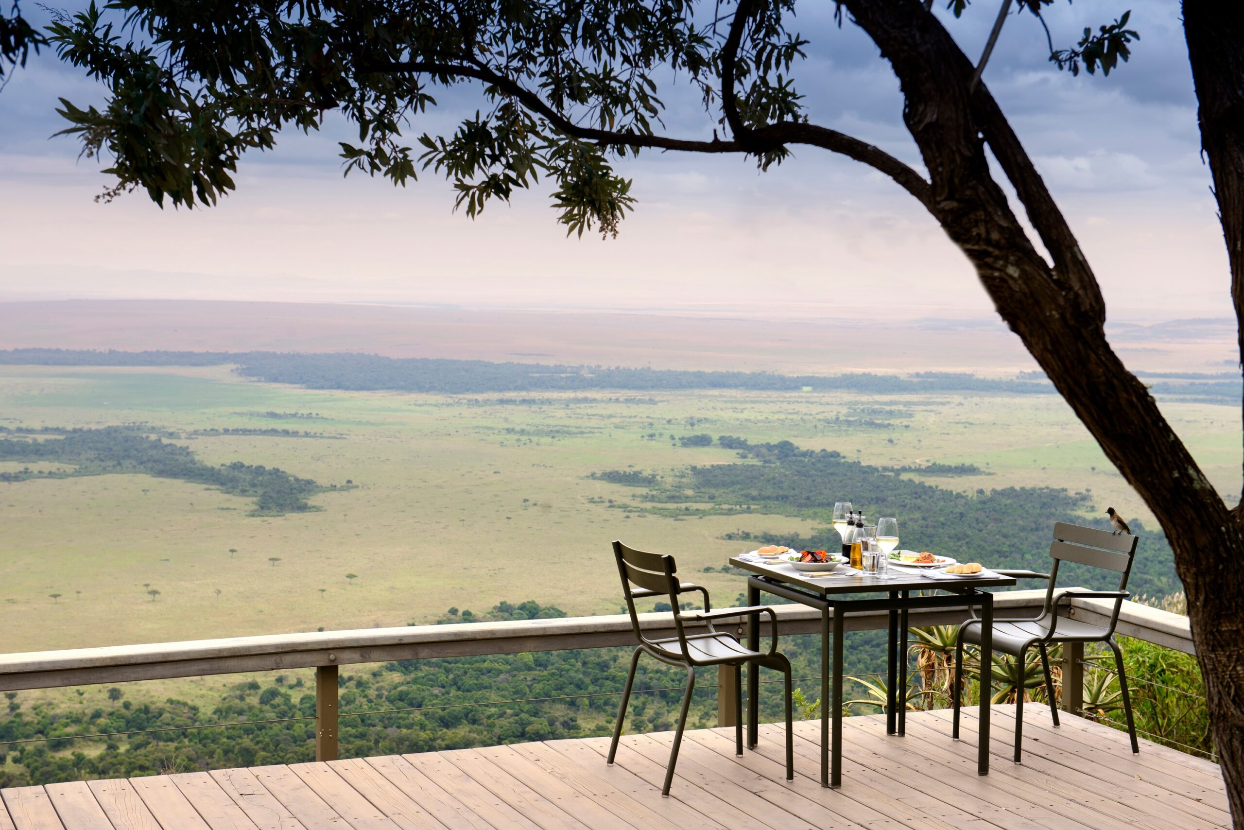 Angama Mara premium lodge accommodation in the Masai Mara