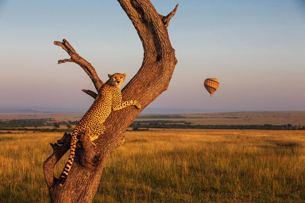 Masai Mara National Reserve