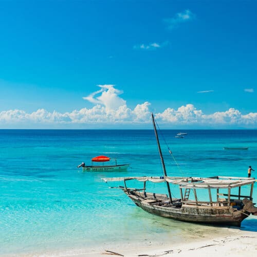 Tanzania Safari and Zanzibar Beach Holiday