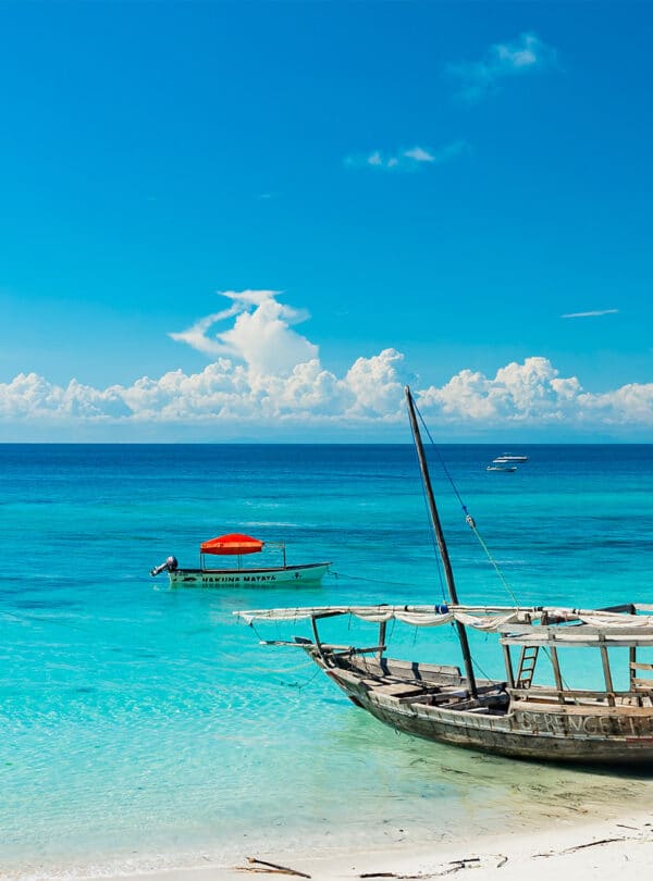 Tanzania Safari and Zanzibar Beach Holiday