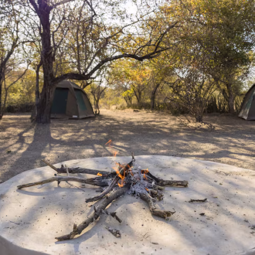 Boteti Tented safari Lodge 2