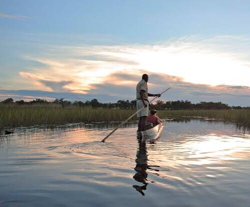 Okavango Exploration