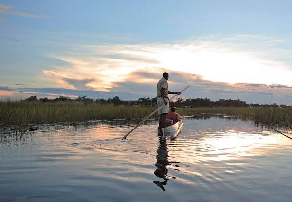 Okavango Exploration