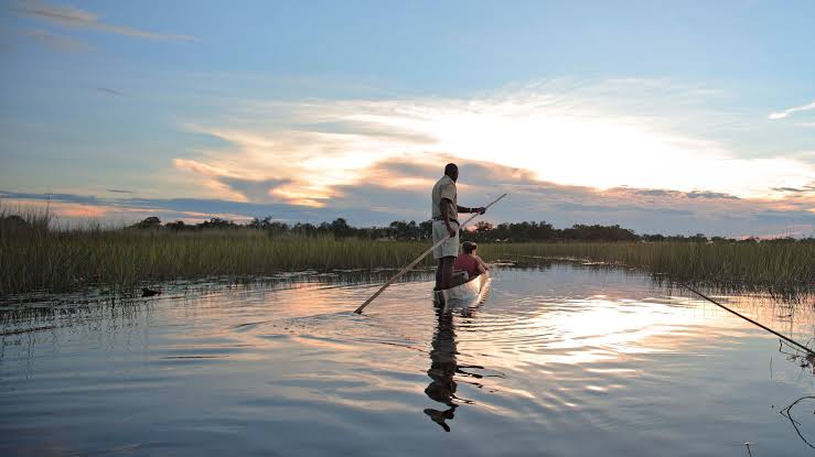 Okavango Exploration