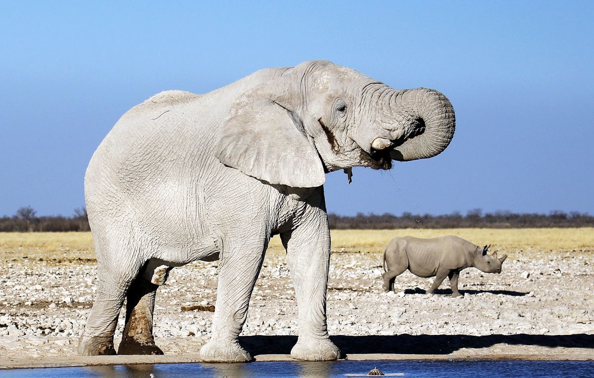 first time namibia safari