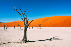 Namibian Culture and Scenery