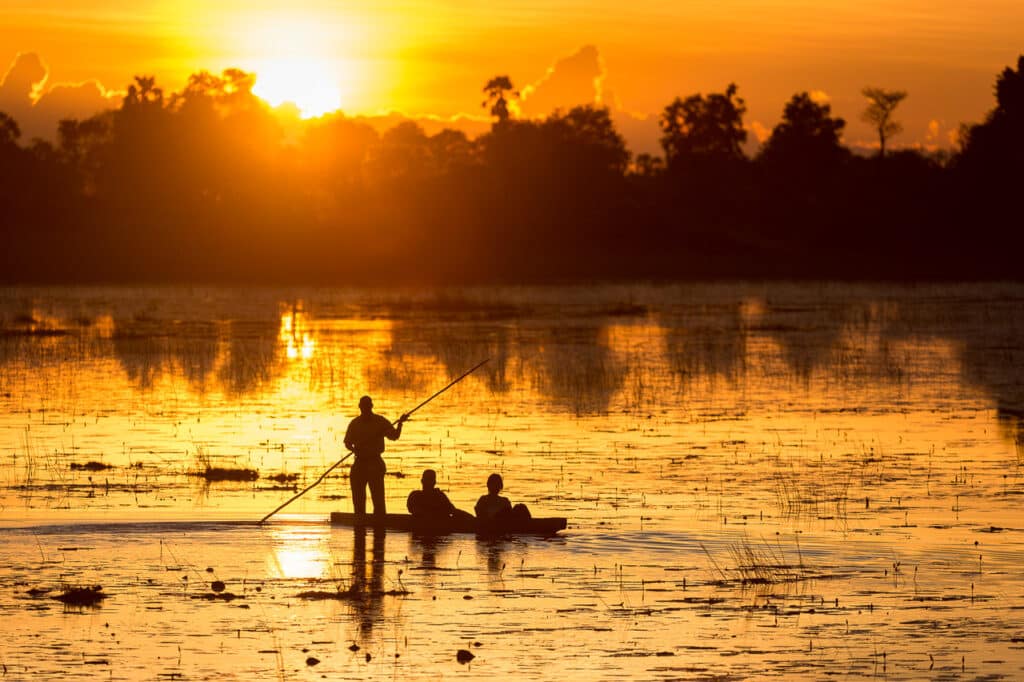Botswana safari