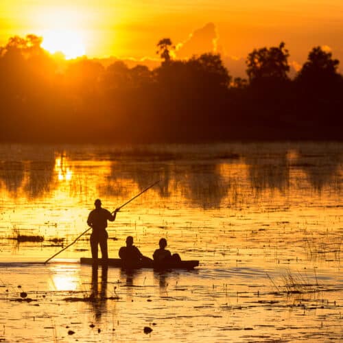 Botswana safari