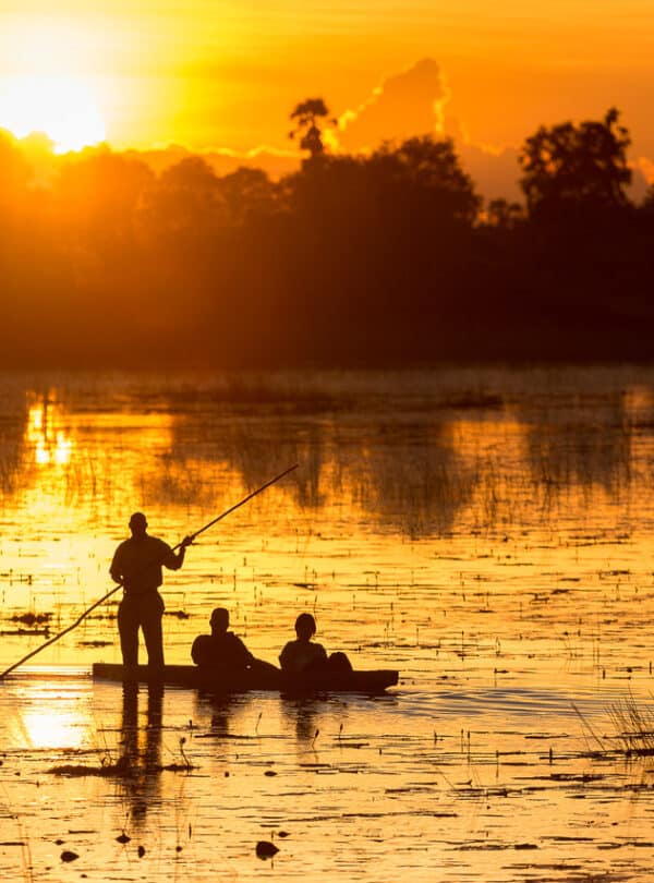 Botswana safari
