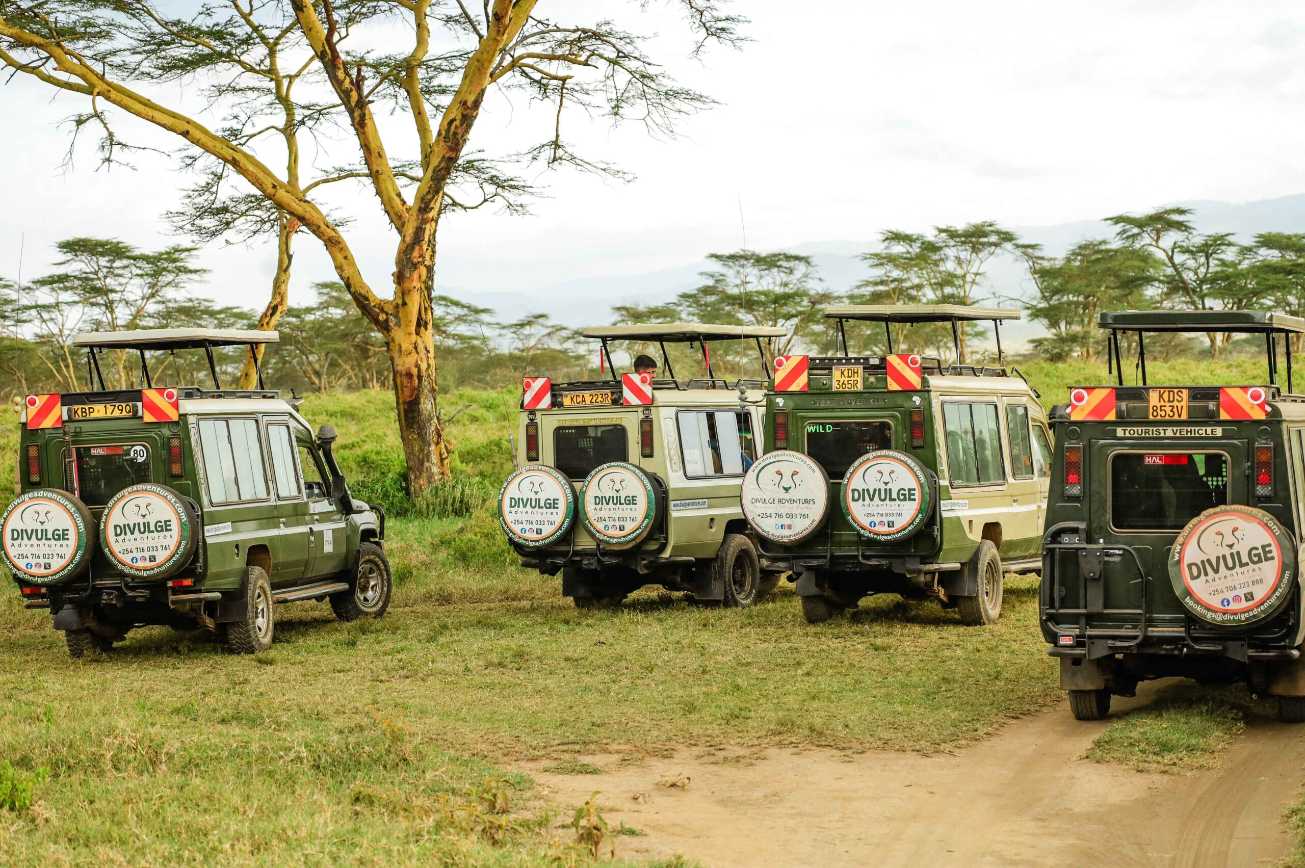 guided-game-drives-lake-nakuru-national-park_11zon