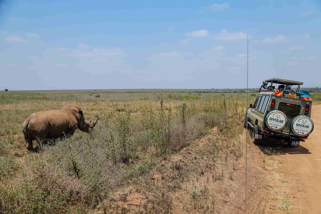 nairobi-national-park-safari