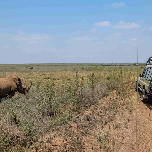 nairobi-national-park-safari
