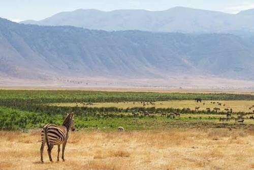 View of the Ngorongoro Crater in northern Tanzania