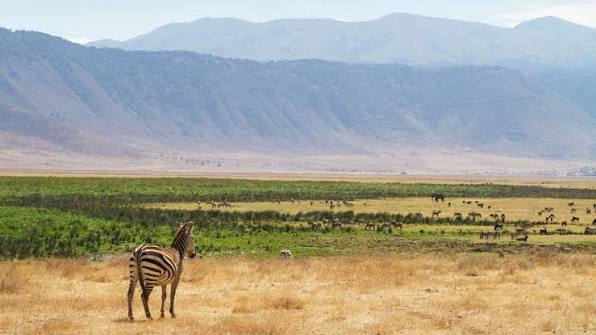 ngorongoro crater